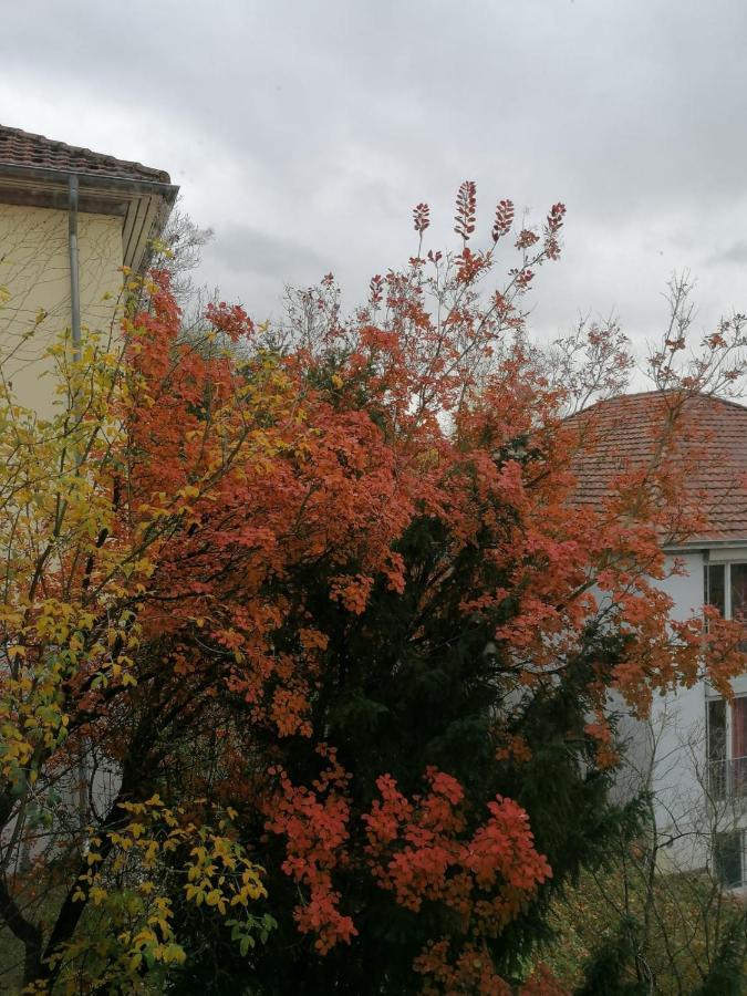 Gaestehaus Goethe-Institut Schwäbisch Hall Kültér fotó